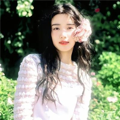 莫西干回到故乡
